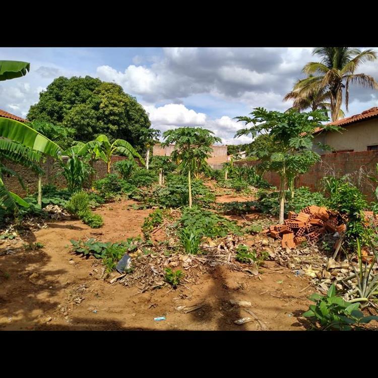 BELO TERRENO NA CIDADE JARDIM