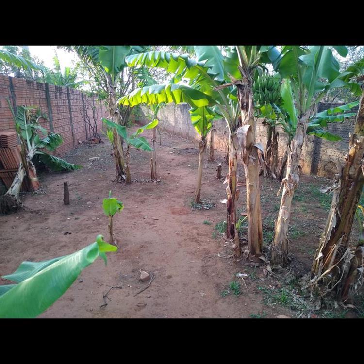 AVENIDA JOSÉ PINTO DE ALMEIDA,0 - Condomínio Garden Village