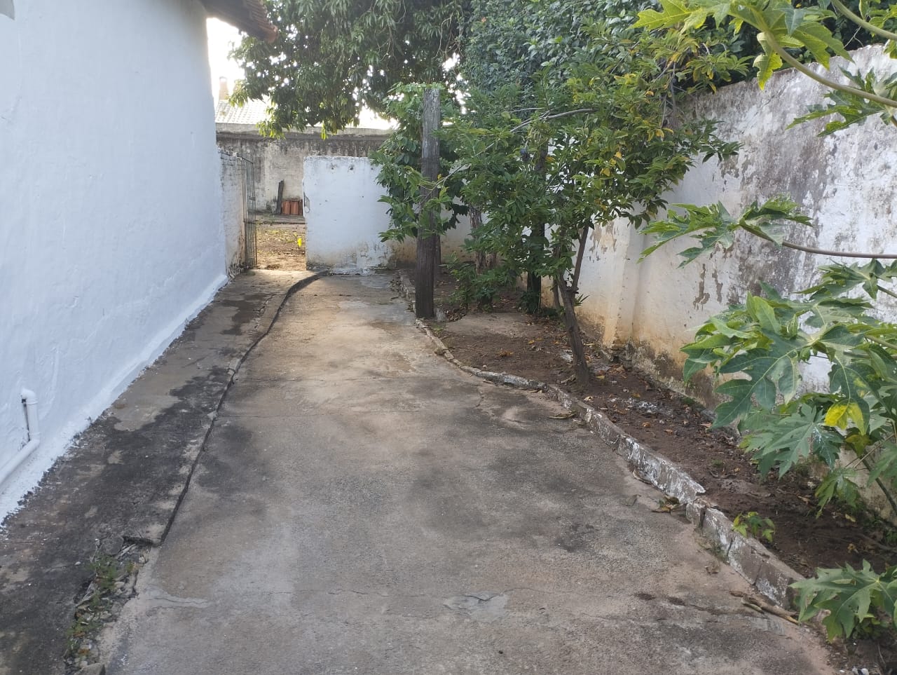 Avenida Olsen,1121 - Centro