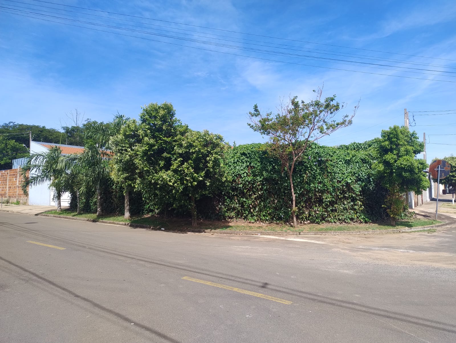 ÓTIMA CASA COM SALÃO COMERCIAL NO BAIRRO ANTONIO FERREIRA 