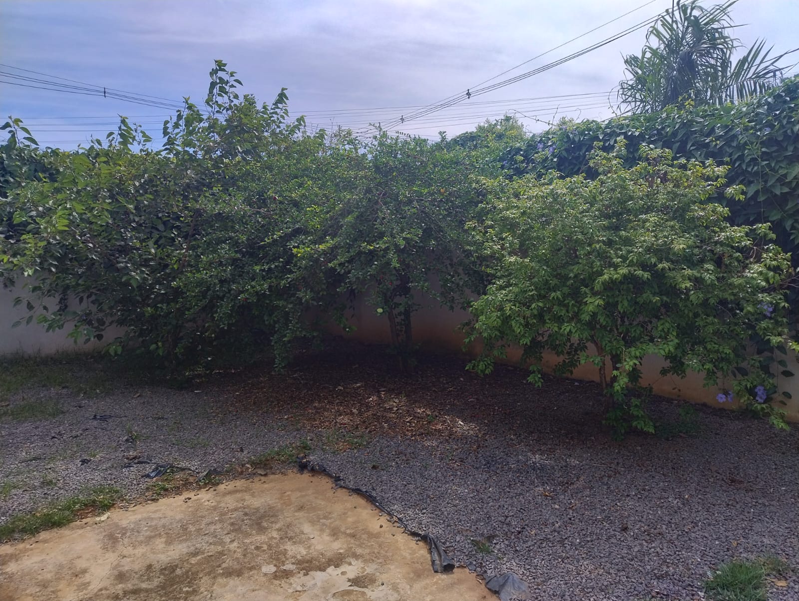 ÓTIMA CASA COM SALÃO COMERCIAL NO BAIRRO ANTONIO FERREIRA 