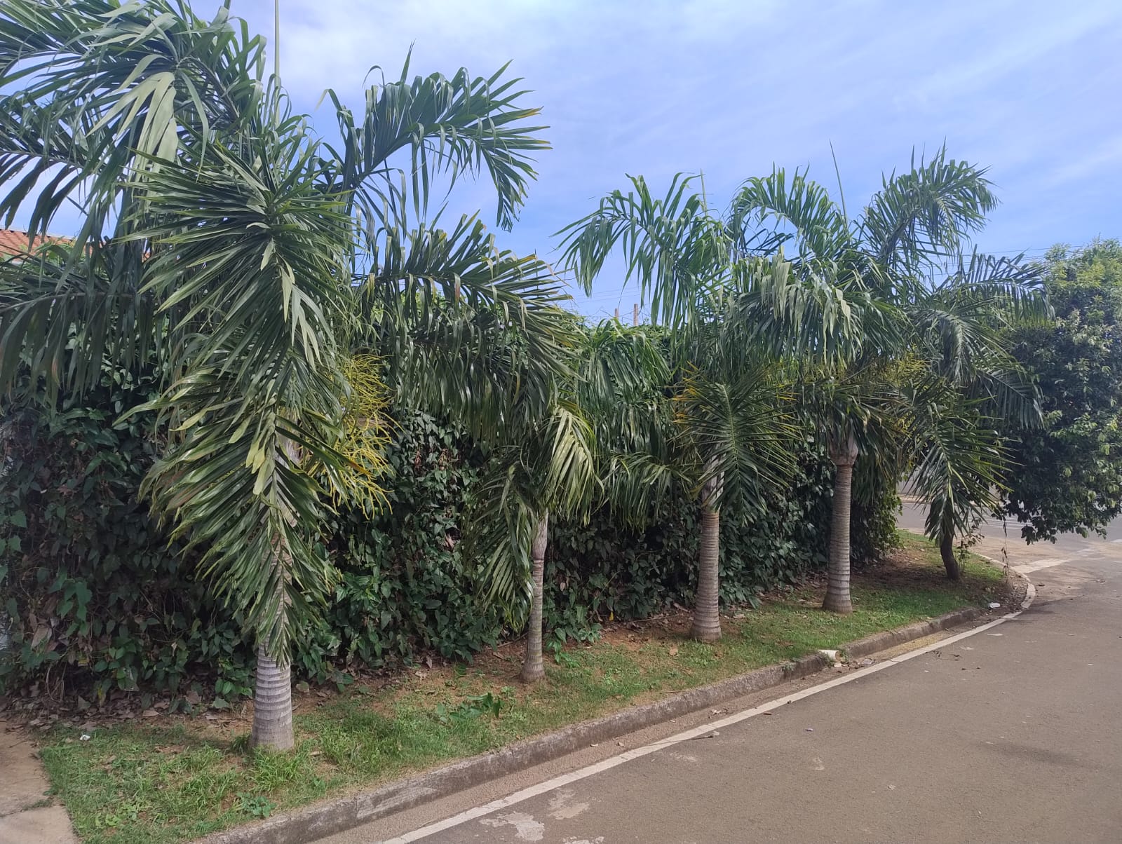 ÓTIMA CASA COM SALÃO COMERCIAL NO BAIRRO ANTONIO FERREIRA 