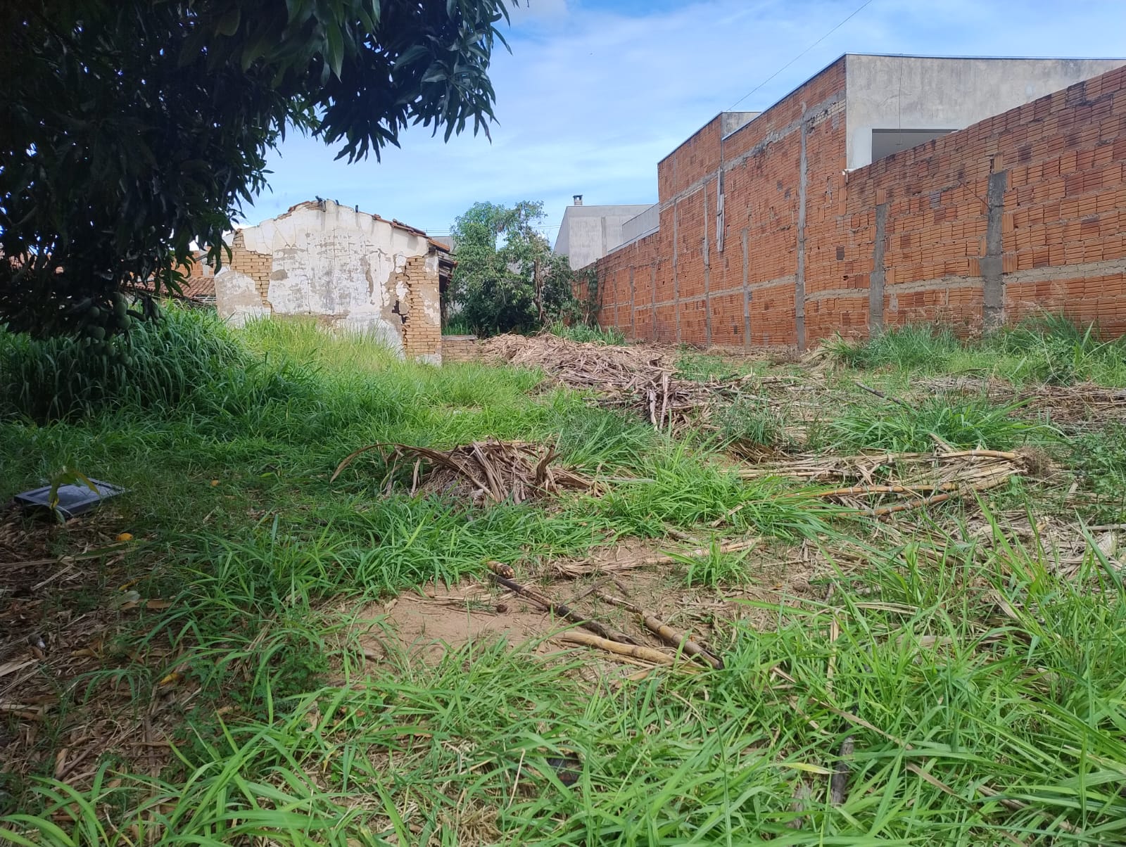 ÓTIMO TERRENO NO BAIRRO CIDADE JARDIM