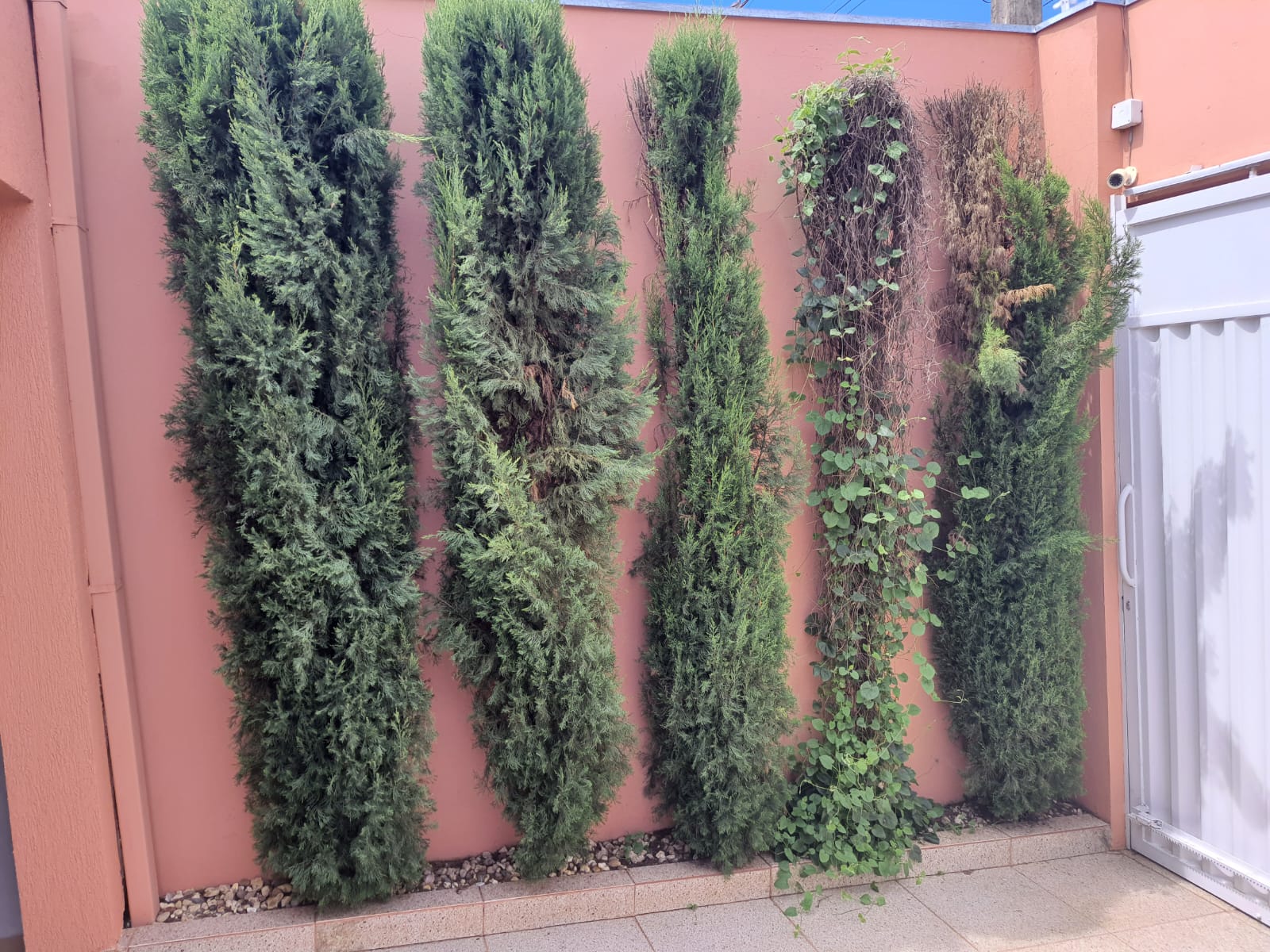 ÓTIMA CASA COM PISCINA AQUECIDA NO JD DO LAGO 2