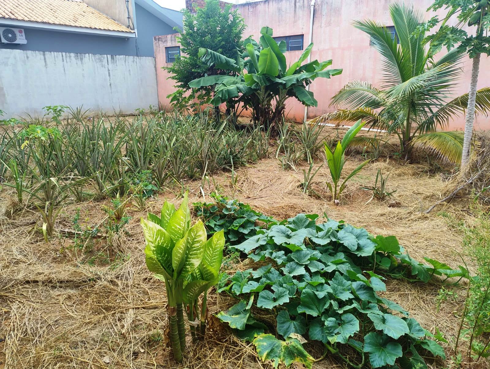 SALÃO COMERCIAL COM UMA ÓTIMA CASA NO JARDIM DO LAGO 4