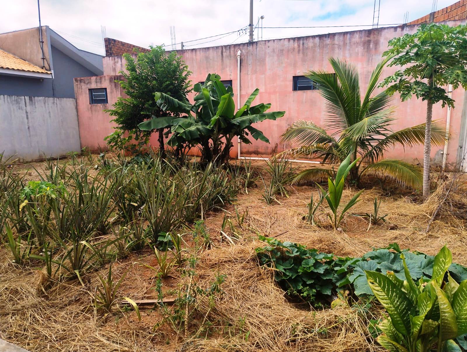 SALÃO COMERCIAL COM UMA ÓTIMA CASA NO JARDIM DO LAGO 4