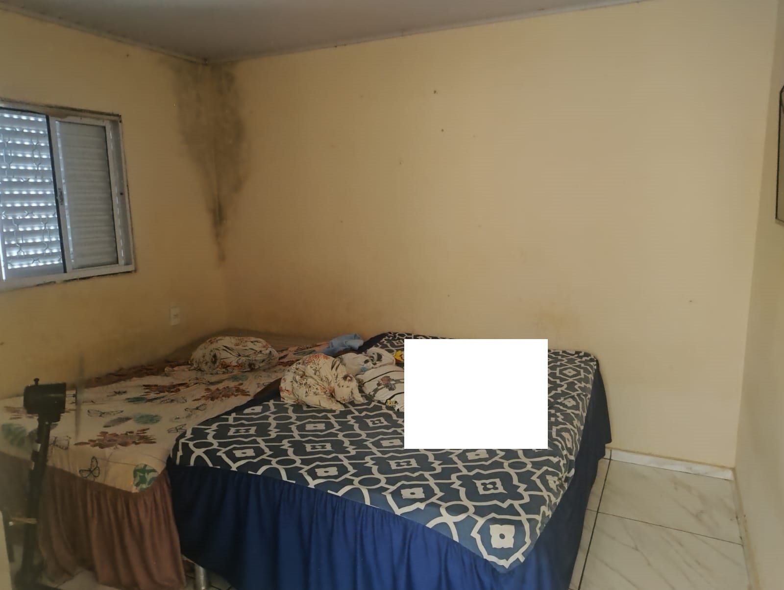 DUAS CASAS NO MESMO TERRENO NA VILA MATEUS 