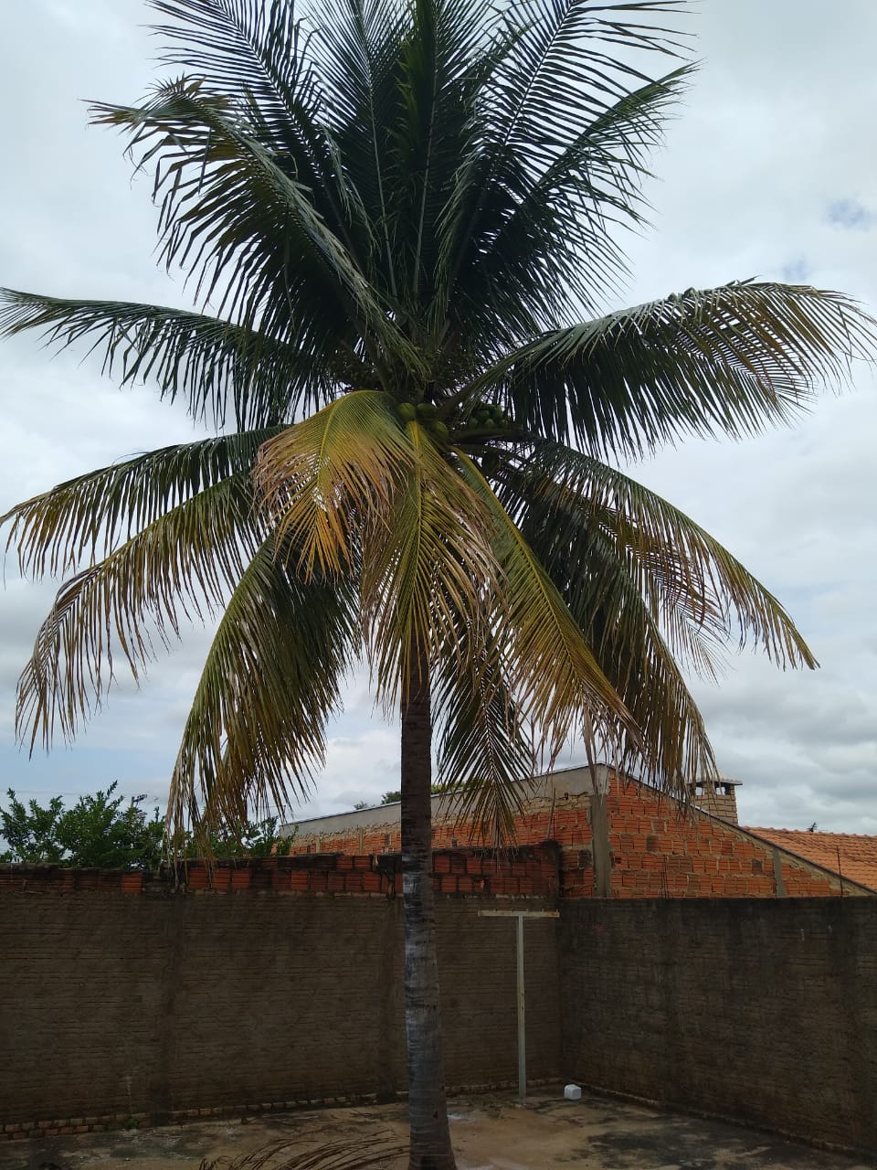 ÓTIMA CASA NO PEREIRINHA