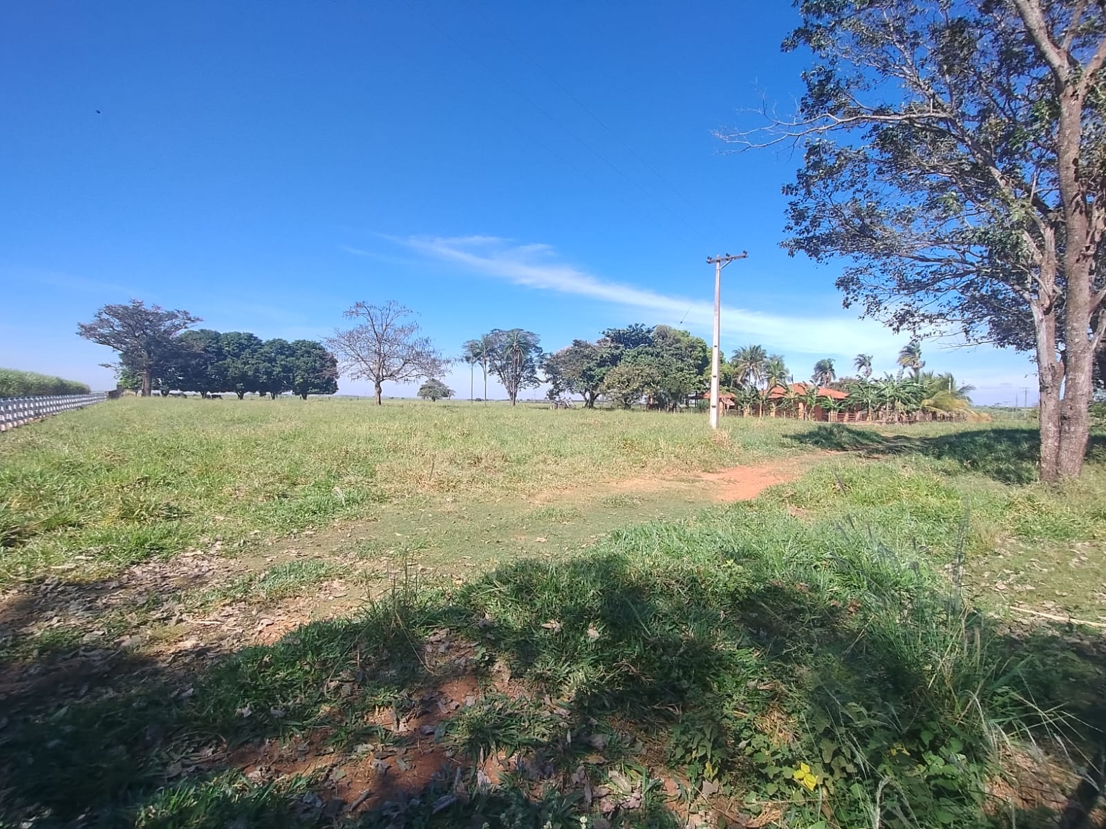 ÓTIMA CHÁCARA NO BAIRRO LAGEADO 