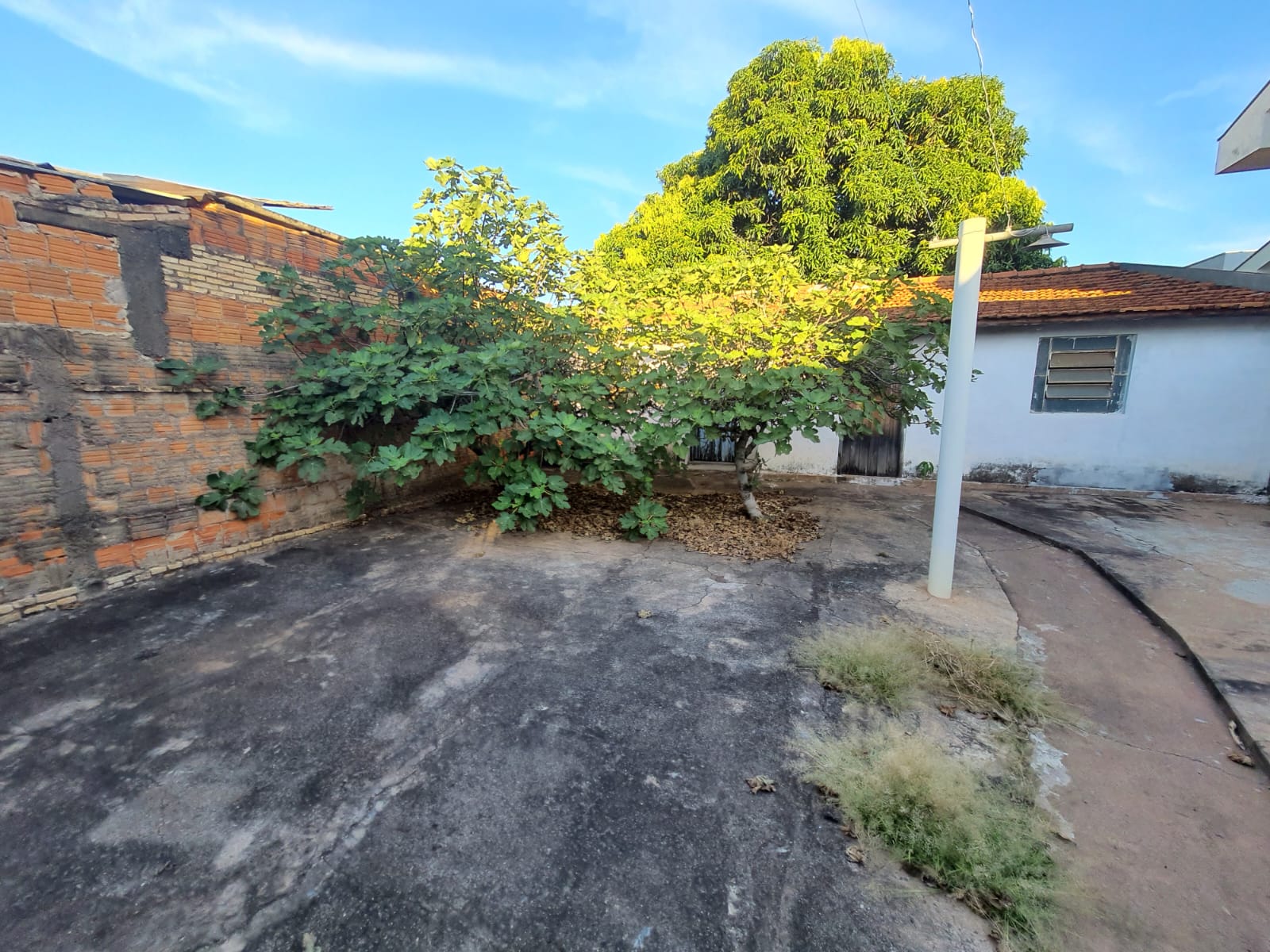 ÓTIMA CASA NA VILA MARTINS