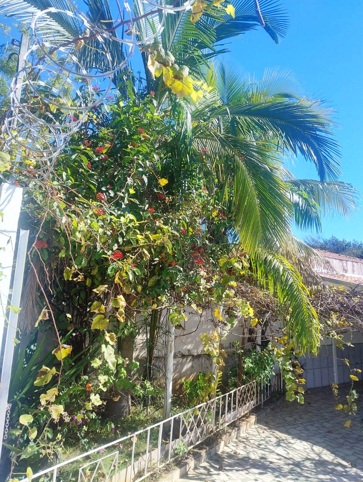 LINDO RANCHO NO CONDOMÍNIO RECANTO DO SOL NASCENTE