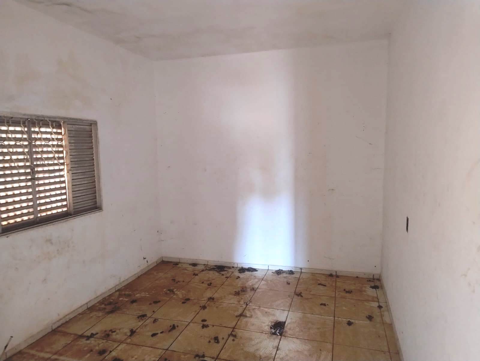 CASA DE ESQUINA NO TROPICAL, POSSIBILIDADE DE TER DOIS IMÓVEIS