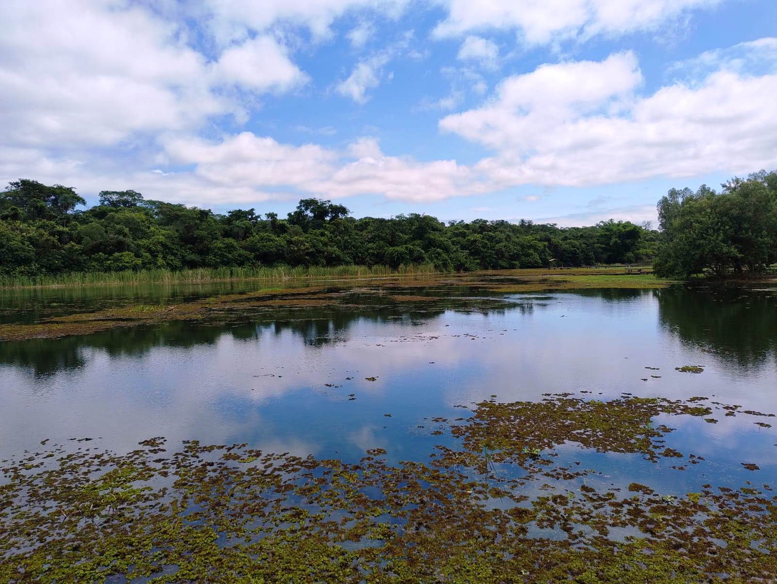 RANCHO COM PISCINA NO CONDOMINIO IPÊ