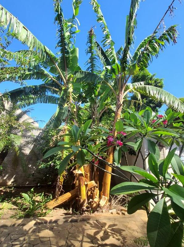 ÓTIMA CASA NA VILA MARTINS, PRÓXIMA DA FUNEPE