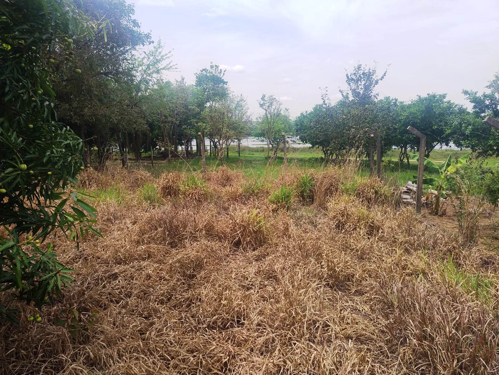 RANCHO EM FASE DE ACABAMENTO NO SAN MARINO