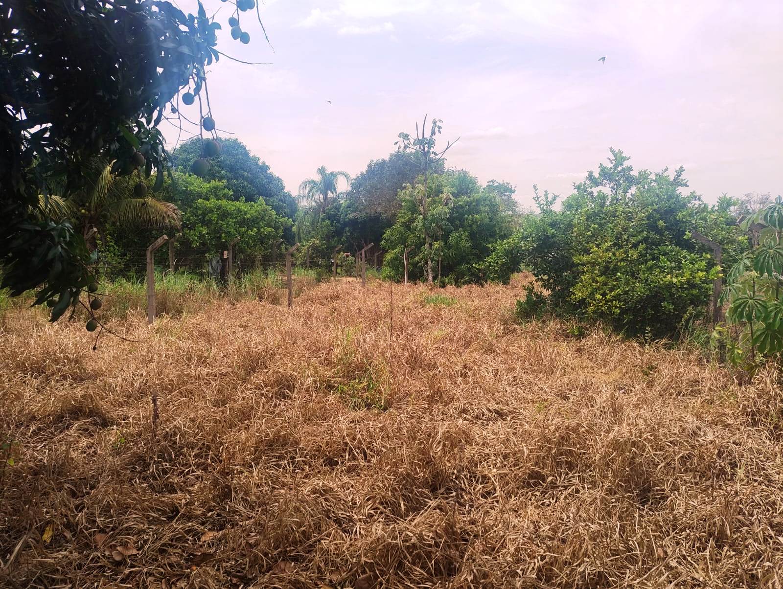 RANCHO EM FASE DE ACABAMENTO NO SAN MARINO