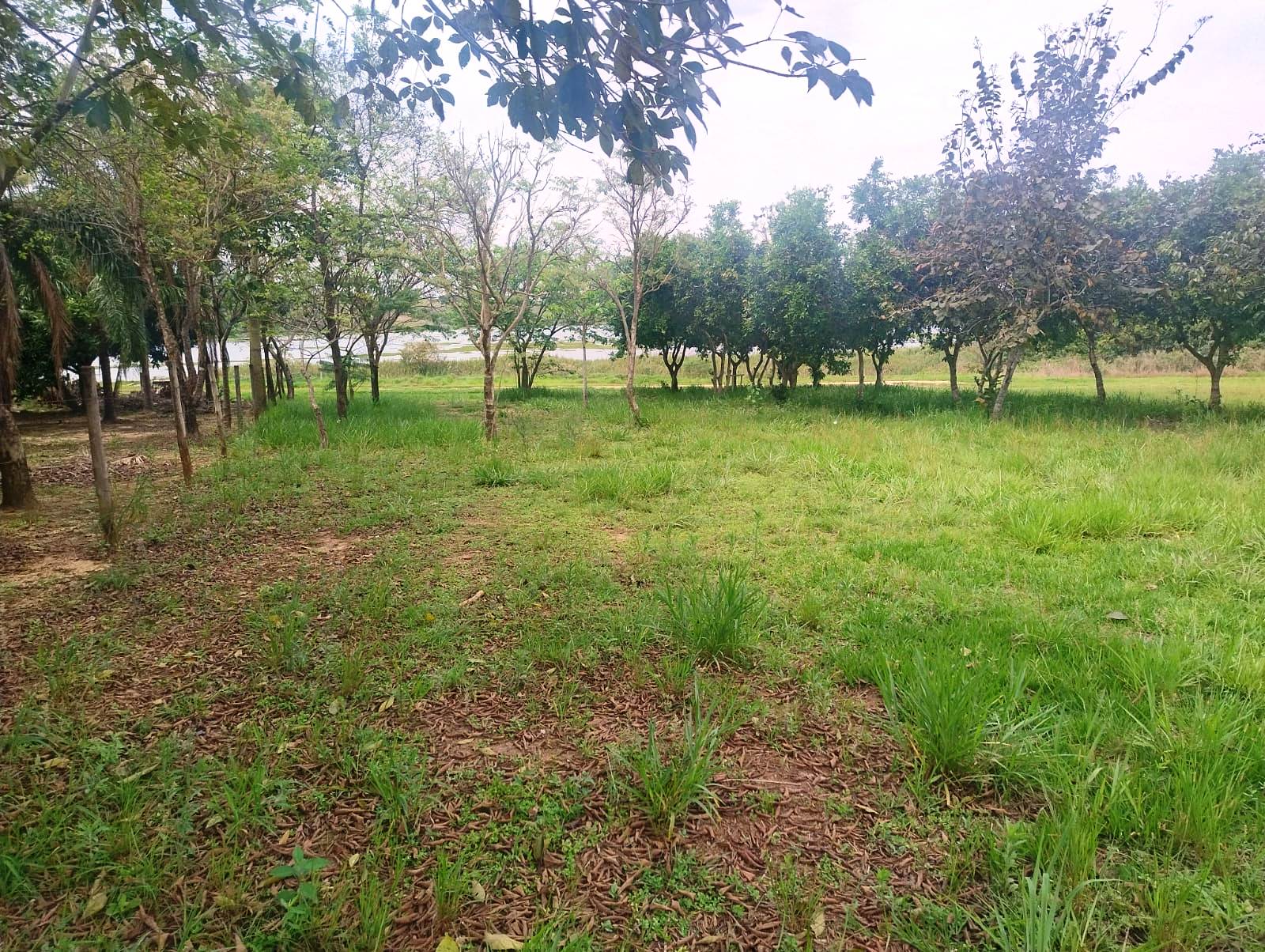 RANCHO EM FASE DE ACABAMENTO NO SAN MARINO