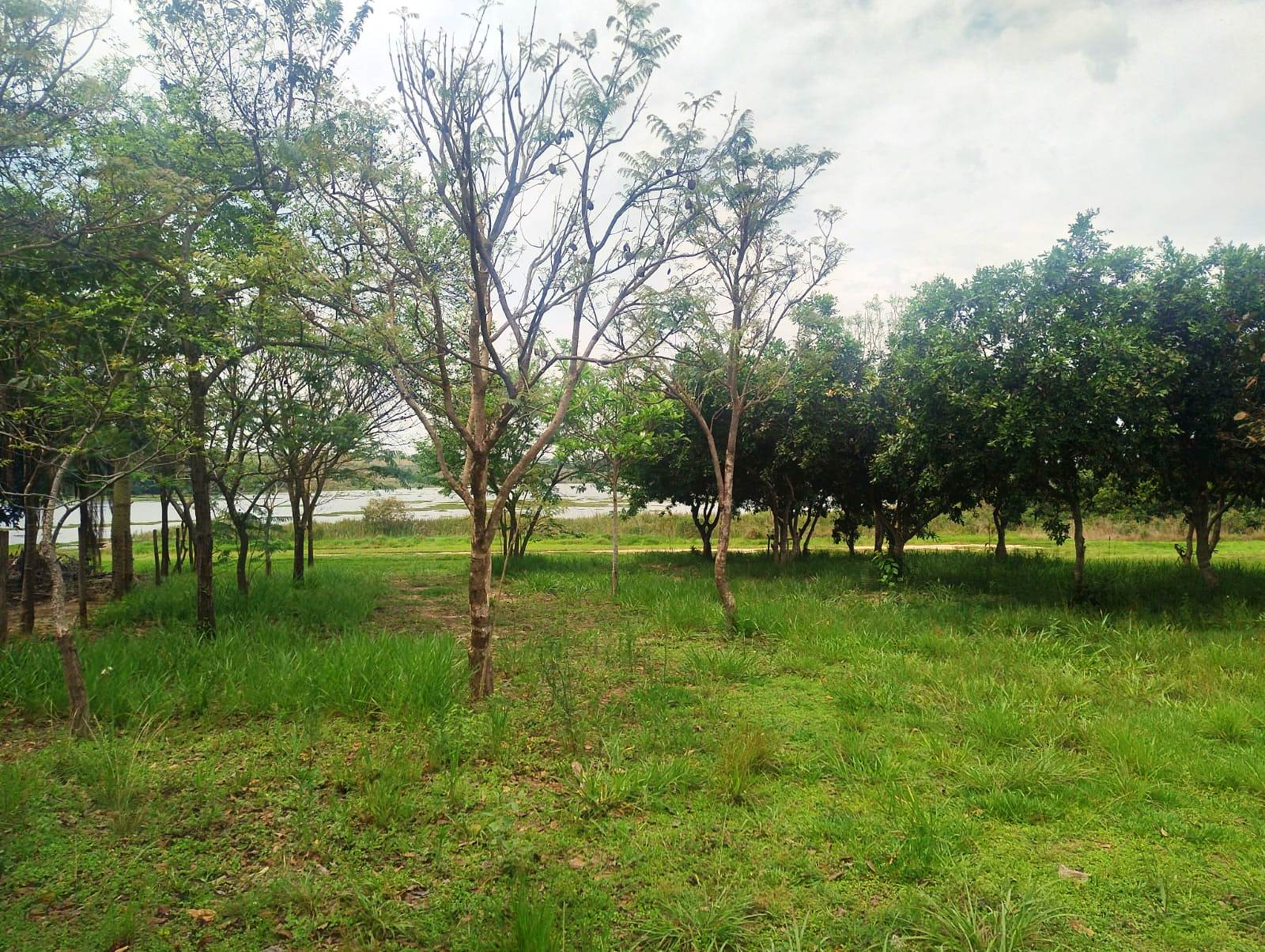 RANCHO EM FASE DE ACABAMENTO NO SAN MARINO