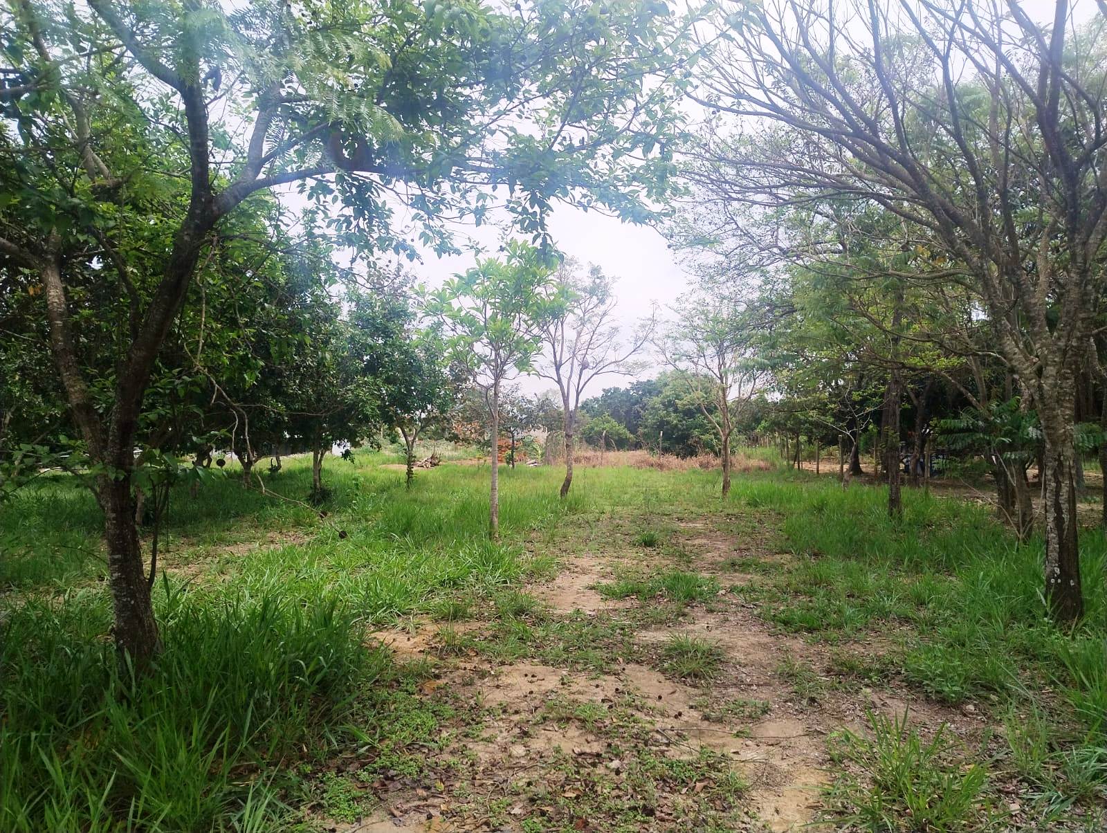 RANCHO EM FASE DE ACABAMENTO NO SAN MARINO