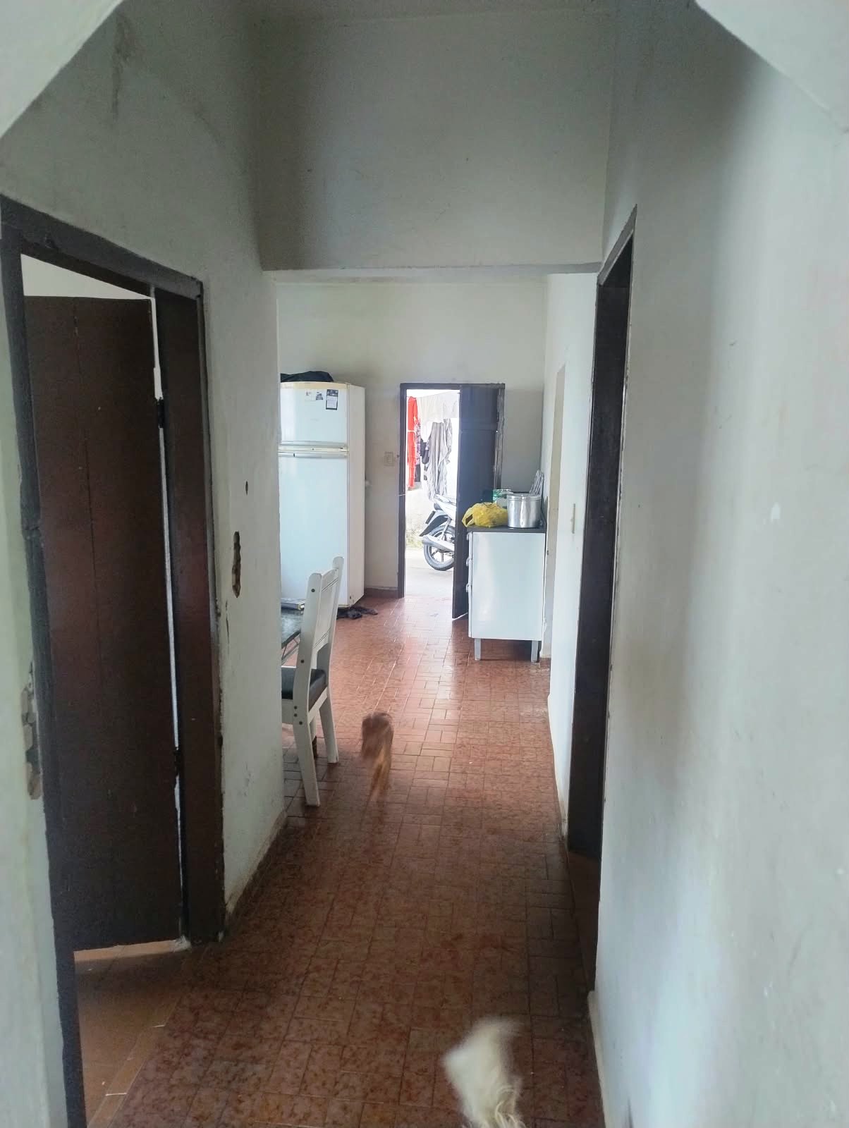 DUAS CASAS NA VILA SÃO JOAQUIM