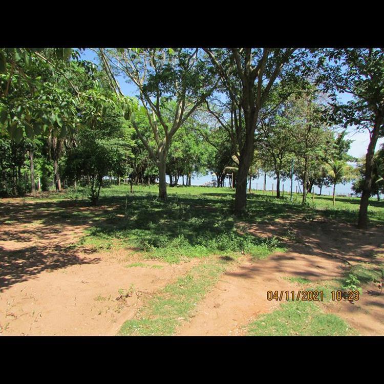 RANCHO PARA FRENTE MOINHO DE VENTO,3 KM - REGINA CÉLIA