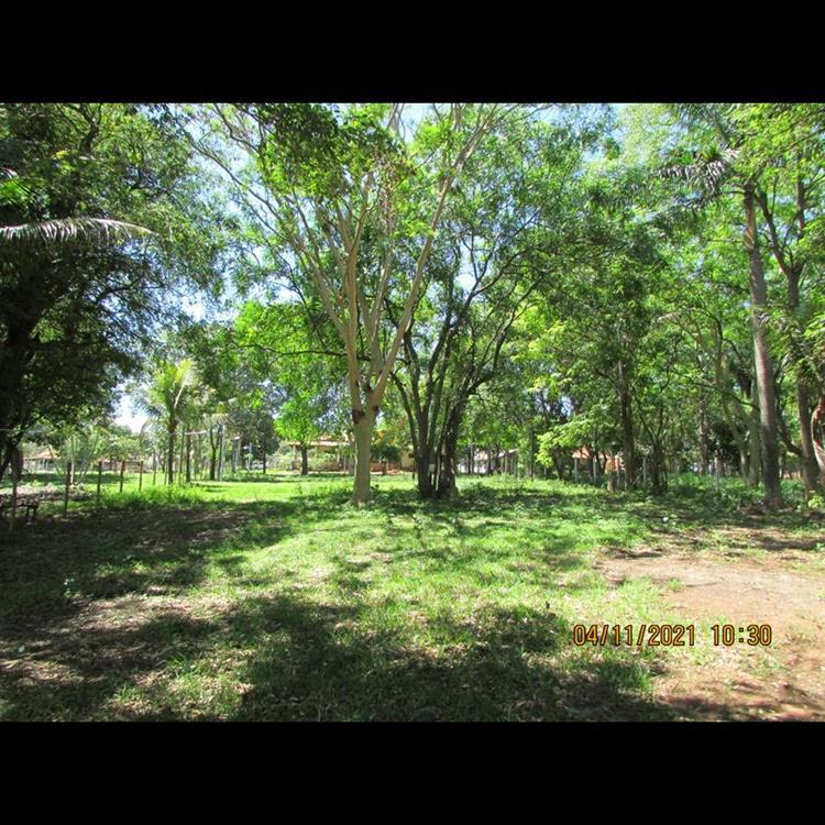 RANCHO PARA FRENTE MOINHO DE VENTO,3 KM - REGINA CÉLIA