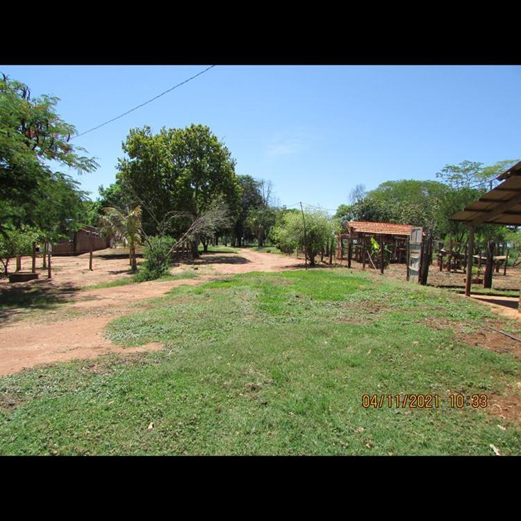 RANCHO PARA FRENTE MOINHO DE VENTO,3 KM - REGINA CÉLIA