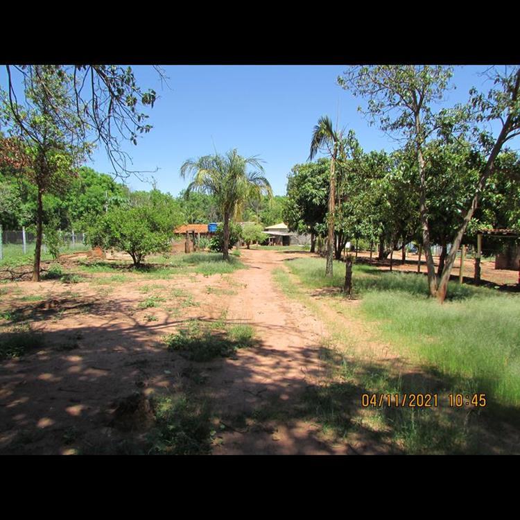 RANCHO PARA FRENTE MOINHO DE VENTO,3 KM - REGINA CÉLIA