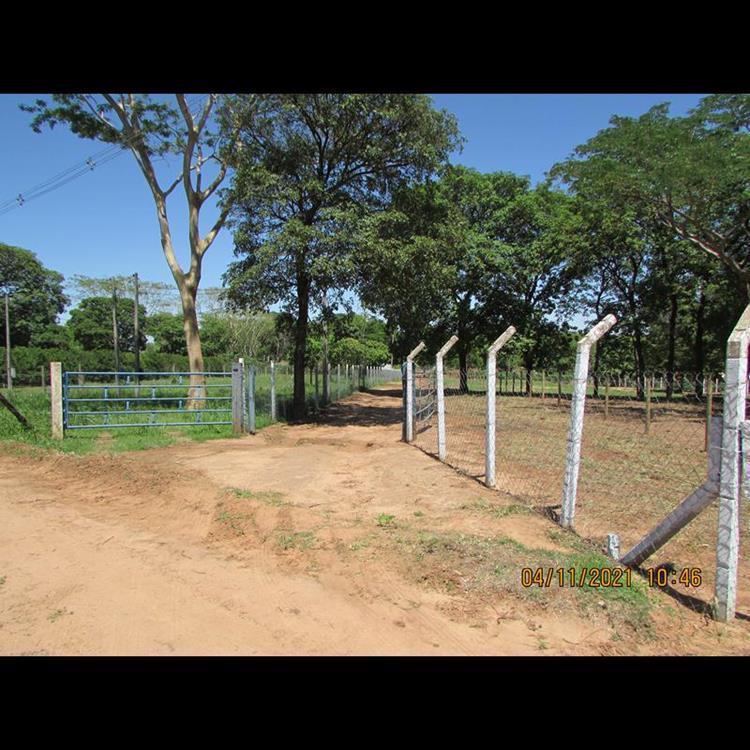 RANCHO PARA FRENTE MOINHO DE VENTO,3 KM - REGINA CÉLIA