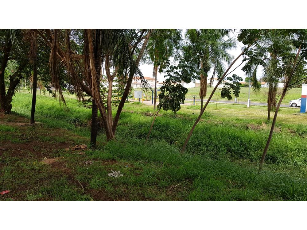 Rua Jair Ferracini,100 - RESIDENCIAL GALLINARI