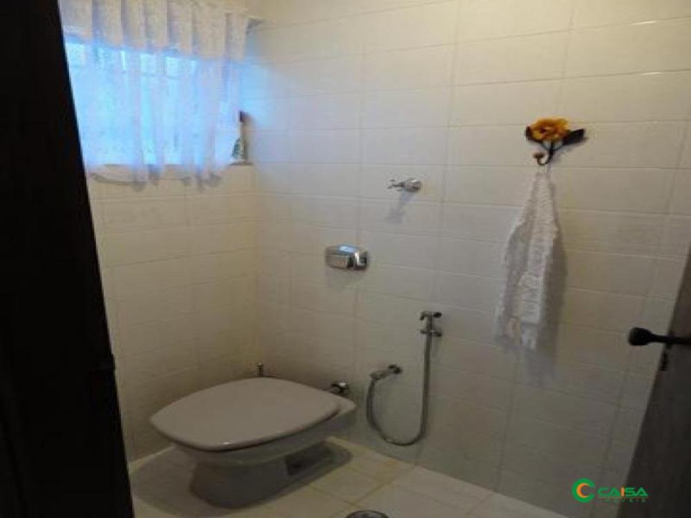 Próximo à Padaria Art Pão, Vila Martins - Penápolis,0 - Vila Martins