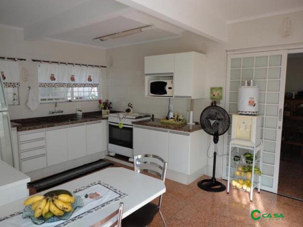 Próximo à Padaria Art Pão, Vila Martins - Penápolis,0 - Vila Martins