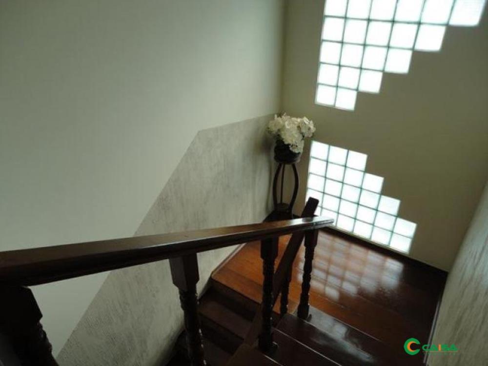 Próximo à Padaria Art Pão, Vila Martins - Penápolis,0 - Vila Martins